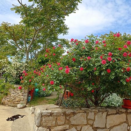 App Bonic Apartment Veli Losinj Exterior photo