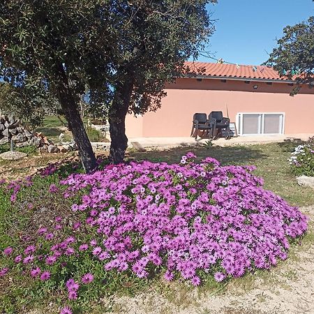 App Bonic Apartment Veli Losinj Exterior photo