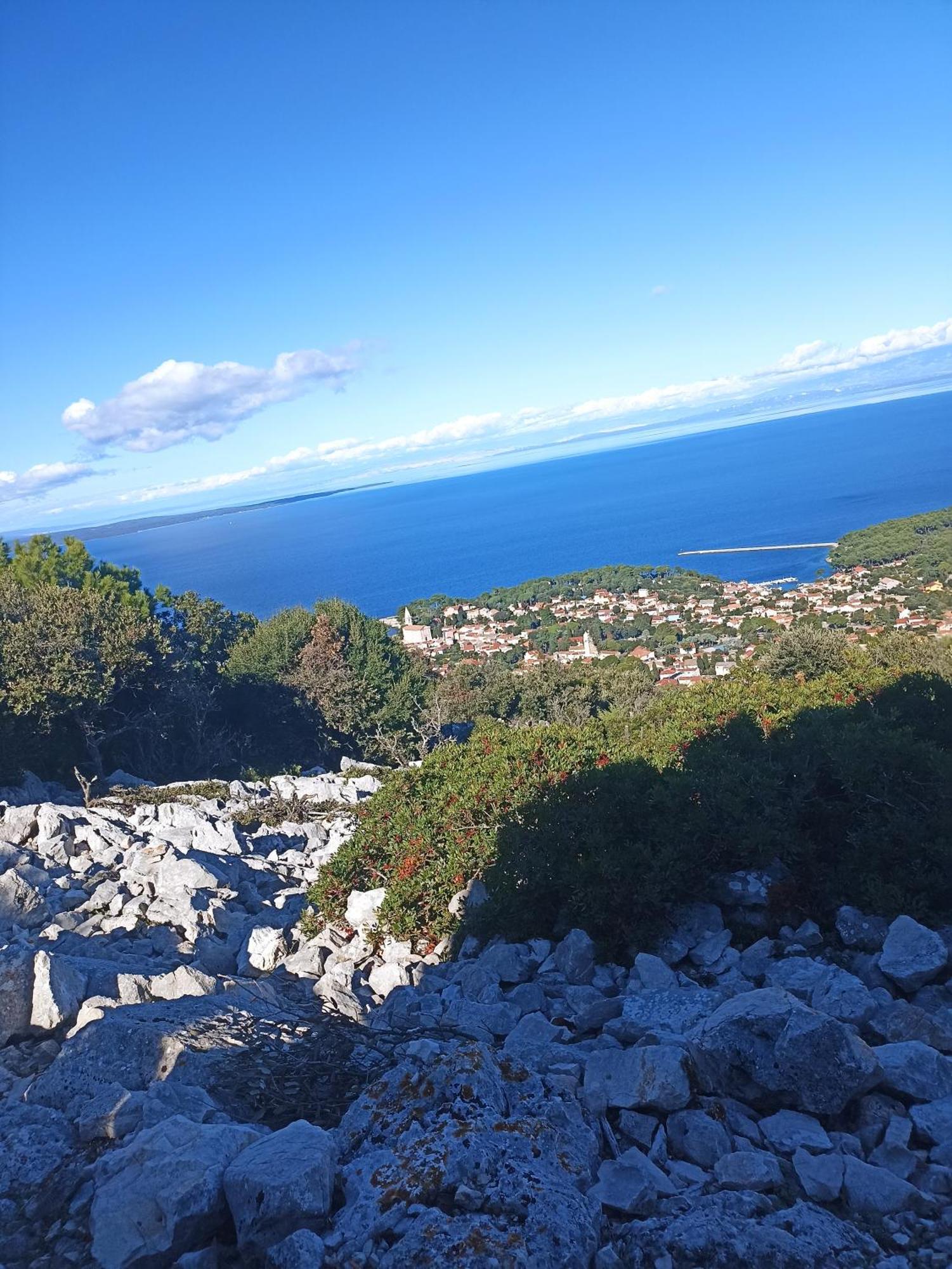 App Bonic Apartment Veli Losinj Exterior photo