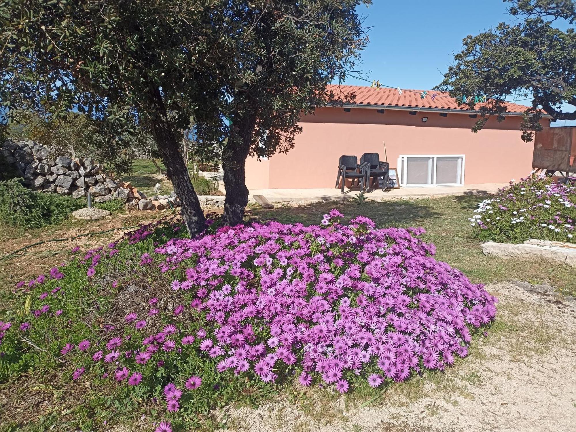 App Bonic Apartment Veli Losinj Exterior photo